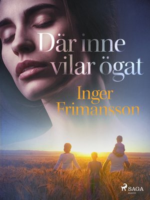 cover image of Där inne vilar ögat